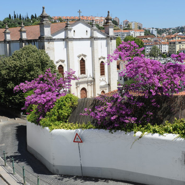 percurso pedestre leiria